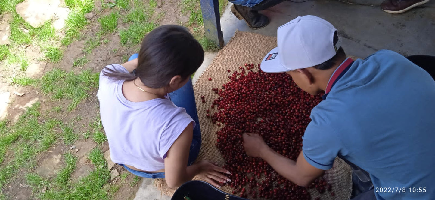 Don Caicedo | Grains entiers